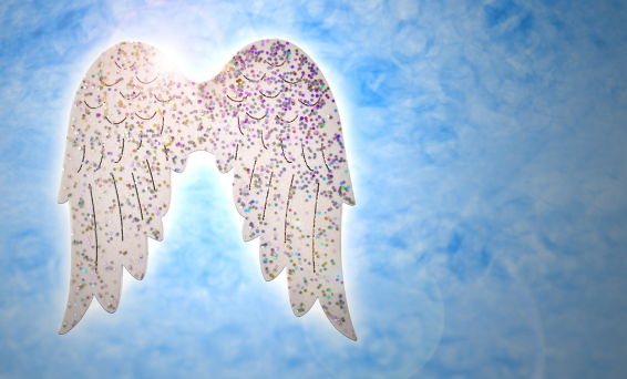 Angel wings 566x342