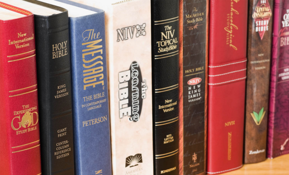 DG The Bible