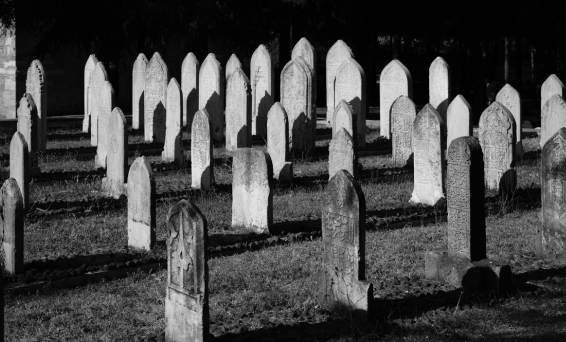 Graveyard 566x342