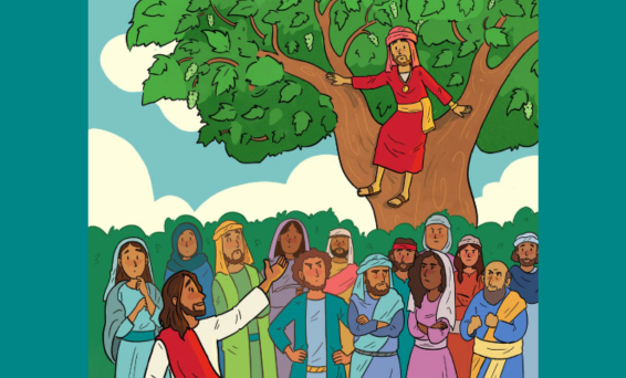 JOAL Zacchaeus Nzime landscape