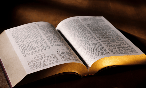 Open Bible