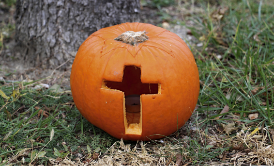 Halloween pumpkin 566x342