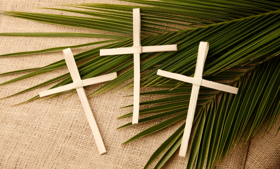 Holy Week Palms 566x342