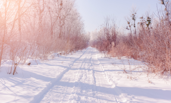 Winter 566x342