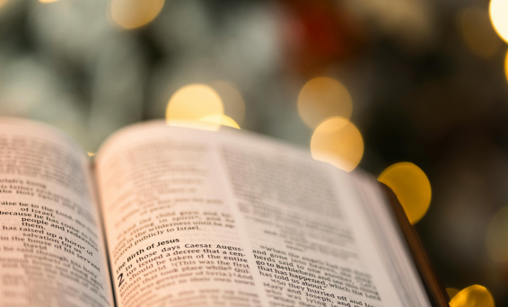 Sparkly Bible 566x342