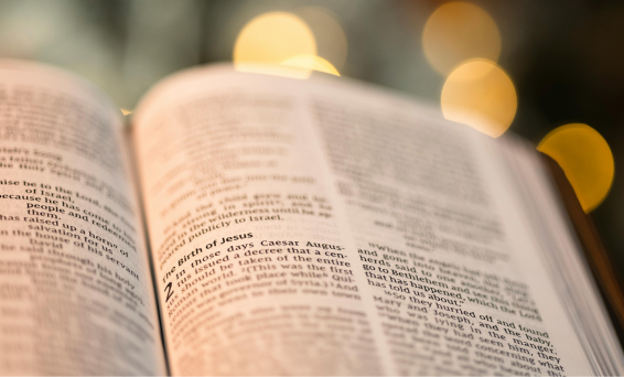 Sparkly Bible higher 566x342