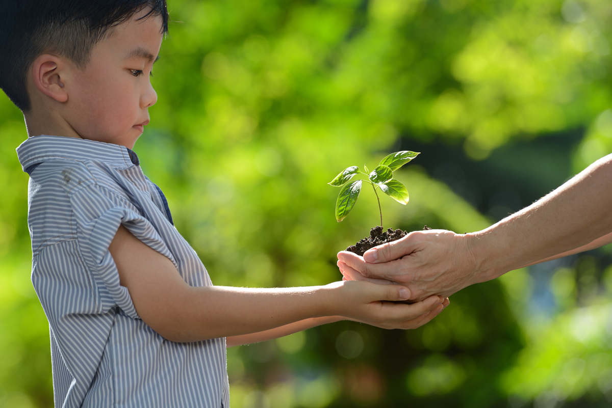 A natural gift medium