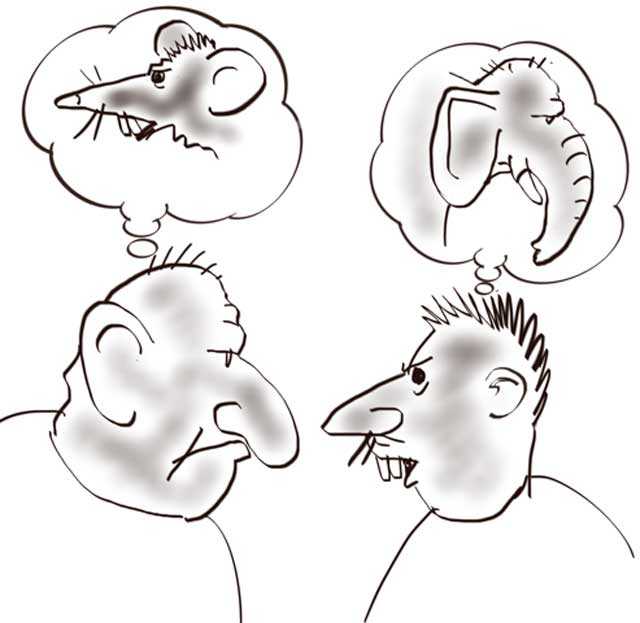 Assumptions