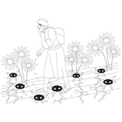 Bad and good seed week1