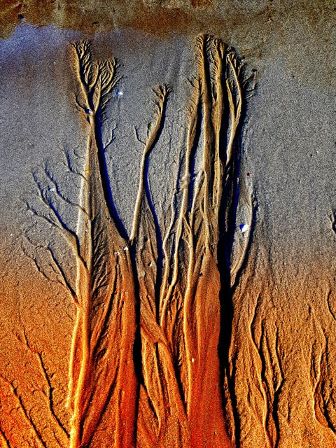 Colored roots