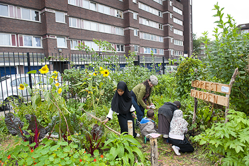 Community garden