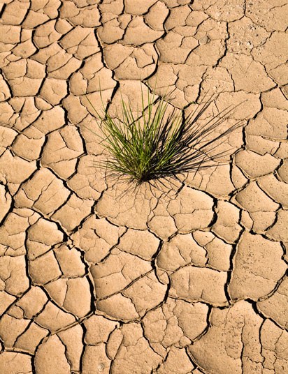 Cracked earth