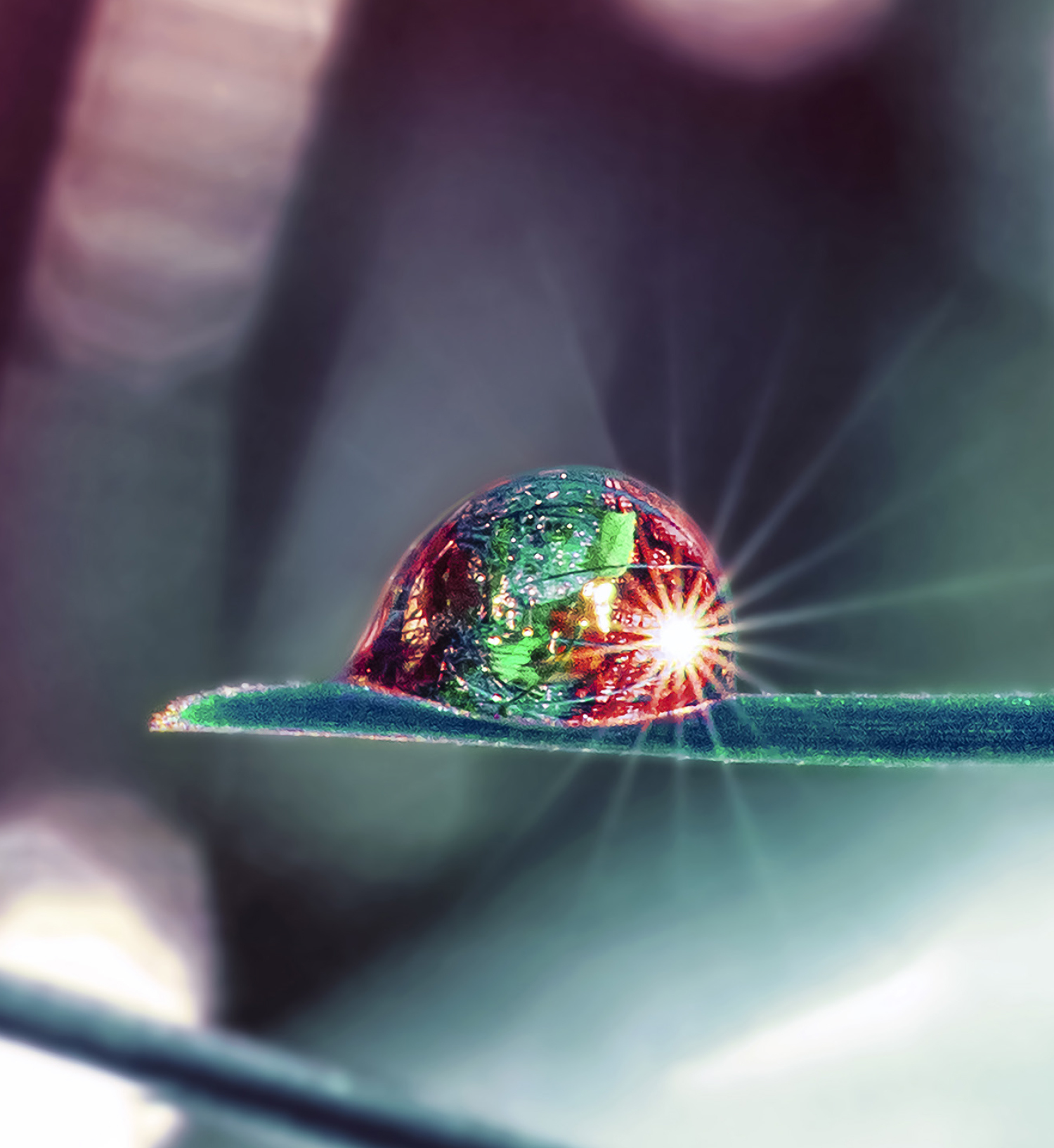 Dewdrop on grass