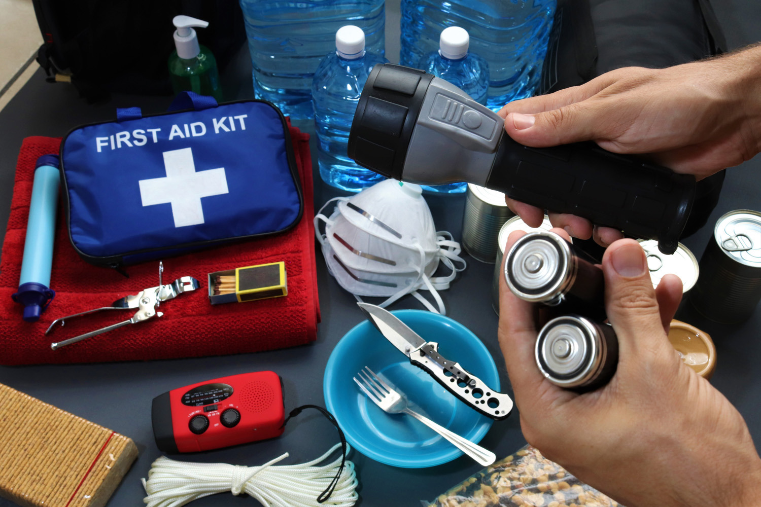 Disaster survival kit