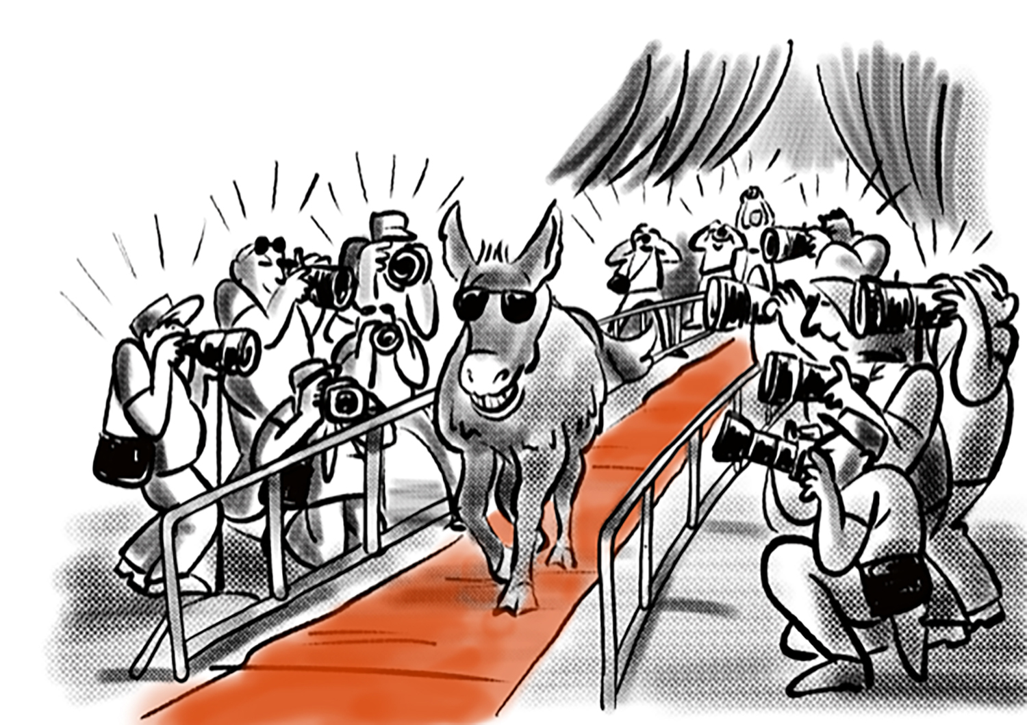 Donkey on red carpet
