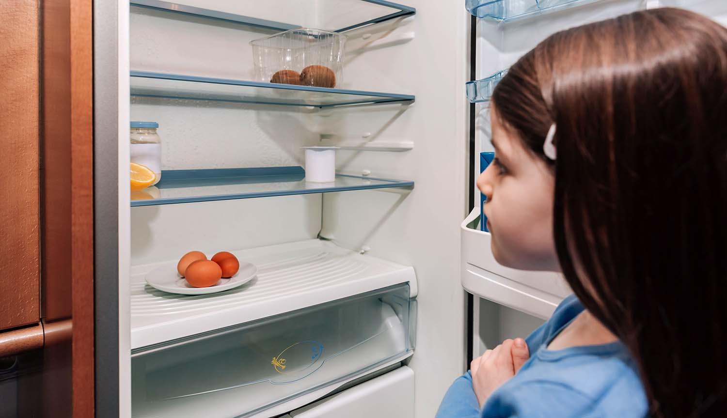 Empty fridge