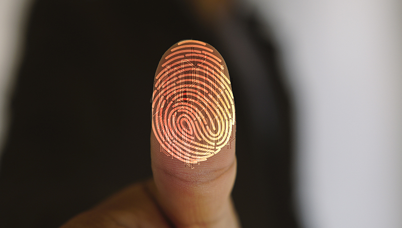 Fingerprint scan