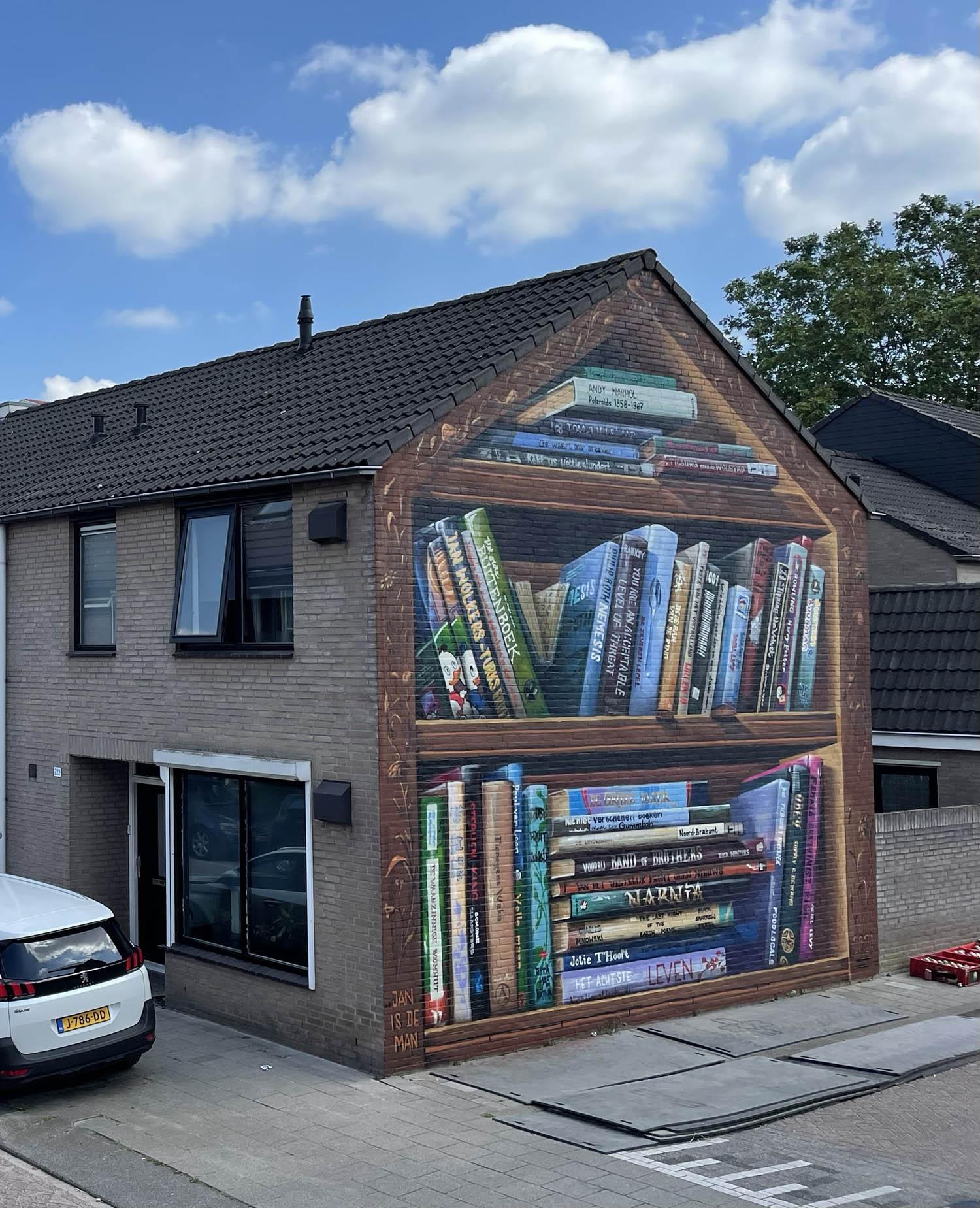 House mural bookshelf tromp l oeil