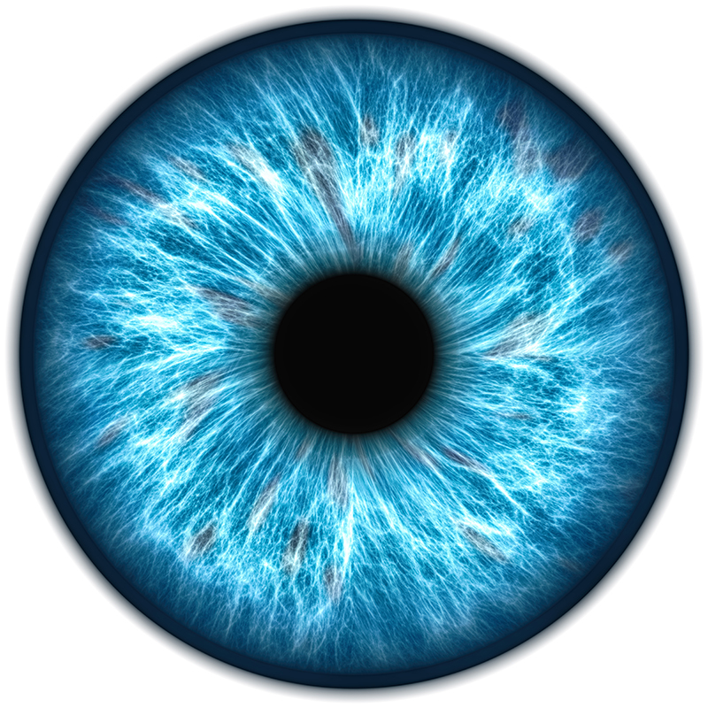 Human iris