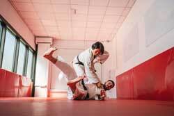 Judo athletes 250px