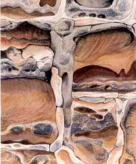 Living stones