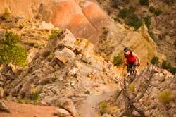 Man mountain biking 250px