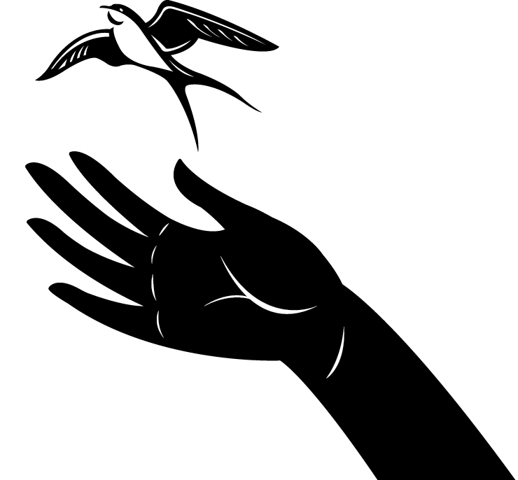 Monochrome swallow flying from hand