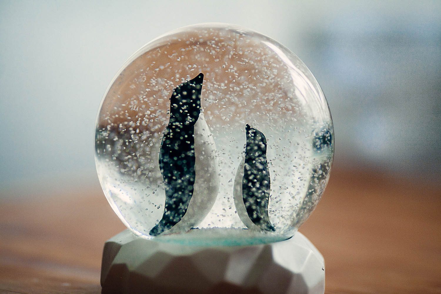 Penguin snow globe