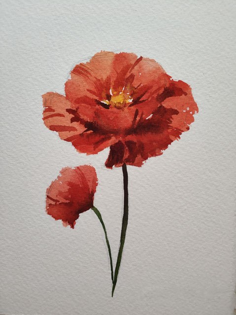 Poppies 2