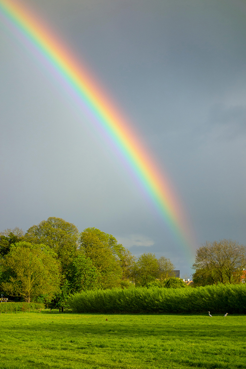 Rainbow over green countryside