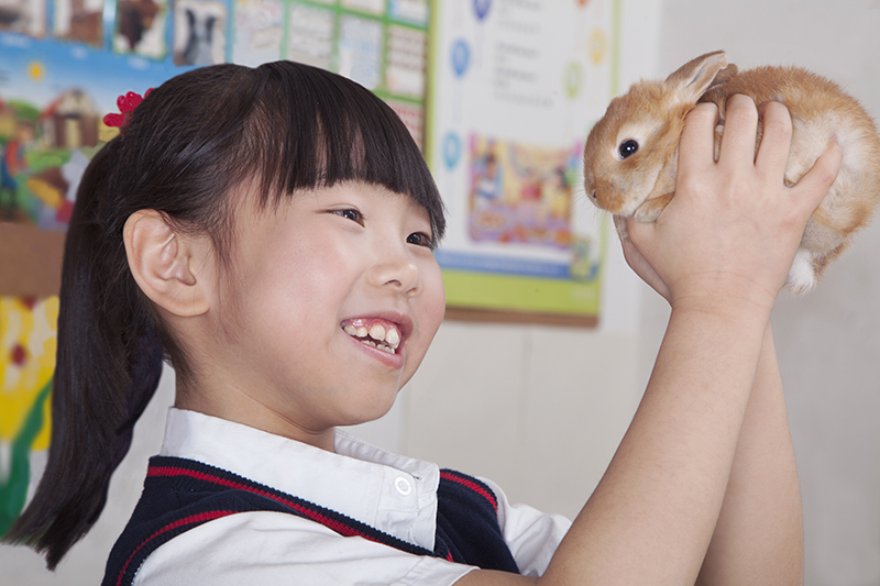 Schoolgirl and pet rabbit