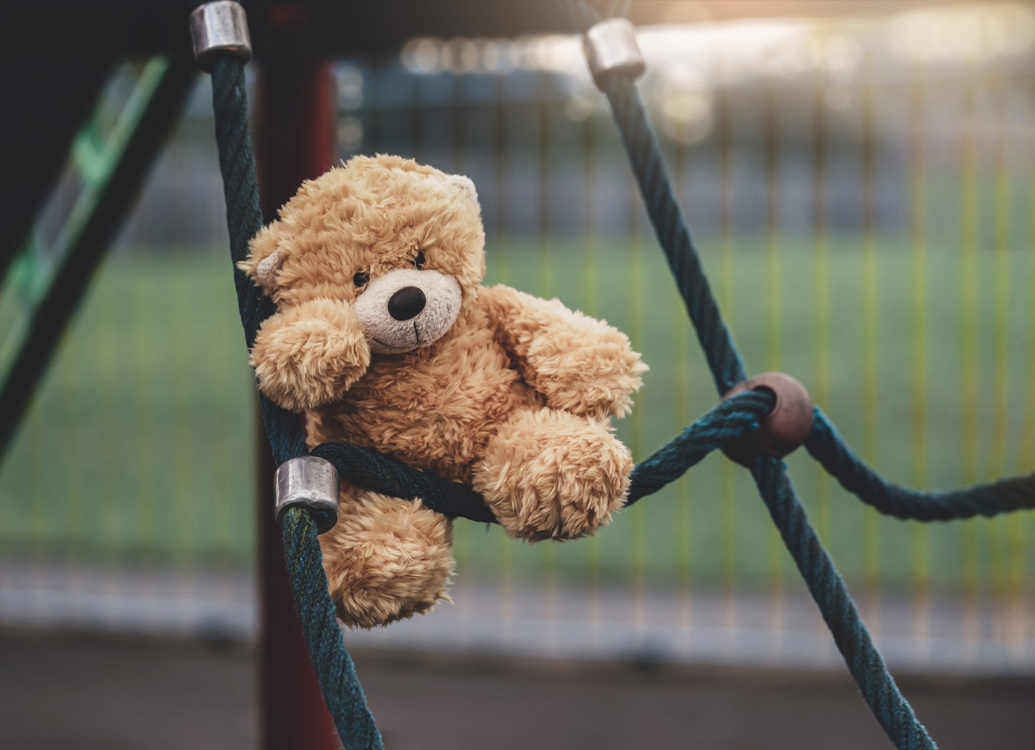 Teddy at playground