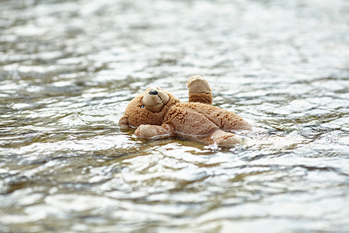 Teddy floating outside