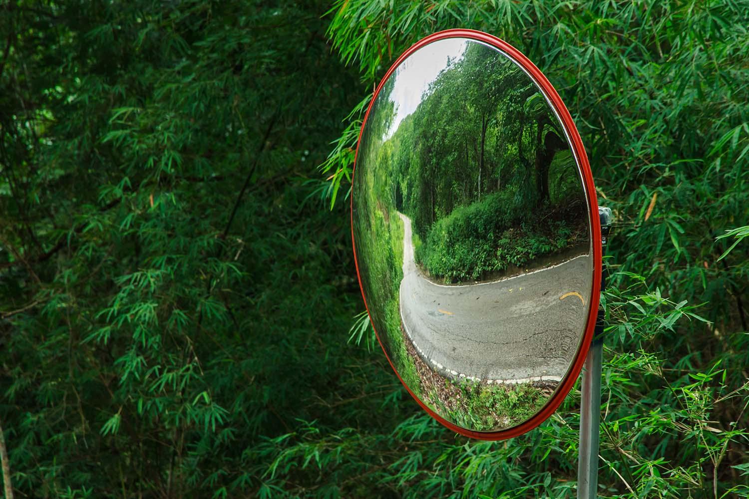Traffic mirror