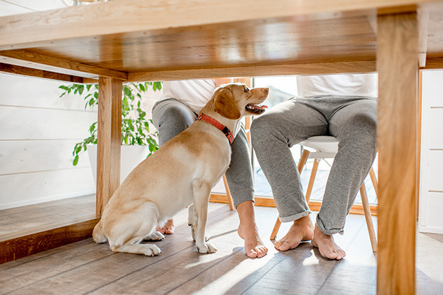 Under the table