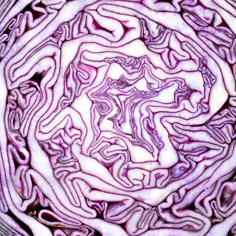 Violet illusion